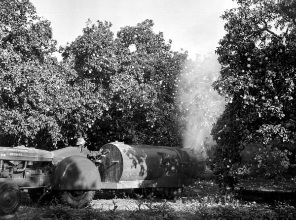 Citrus spraying - Polk County, Florida