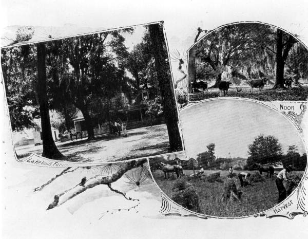 Photocollage of various Lakeland Plantation scenes - Tallahassee, Florida.