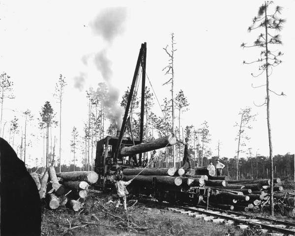 Logs being loaded onto railroad cars - Escambia County, Florida