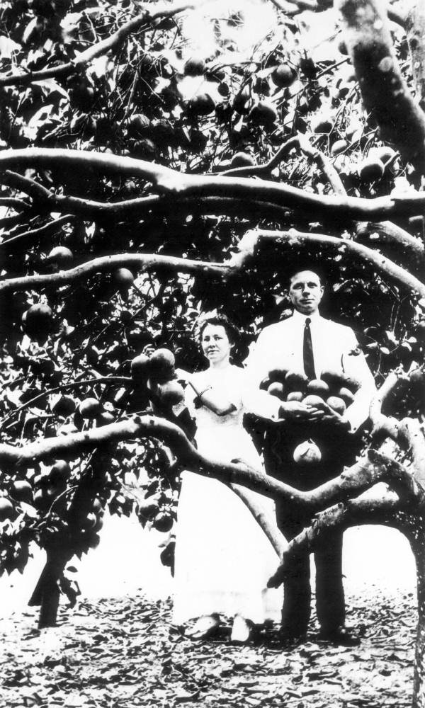 Couple under grapefruit tree