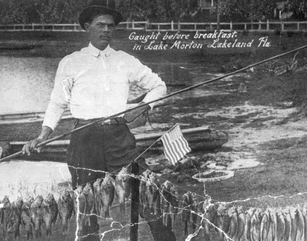 Fisherman with his catch from Lake Morton - Lakeland, Florida