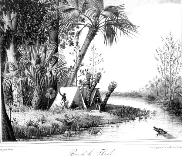 Lithograph of the Wakulla River by A. Bertrand