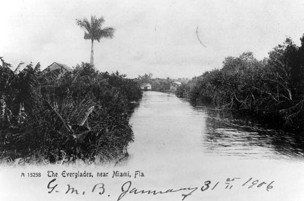 Canal in the Everglades