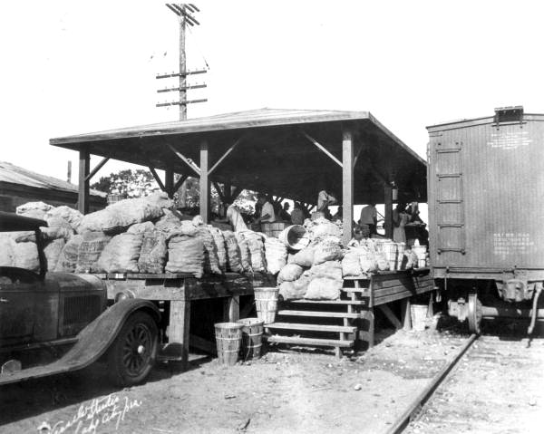 Packing plant for local produce at the railway depot - Lake City, Florida