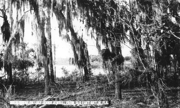 Looking through the trees at Lake Jennie Jewell