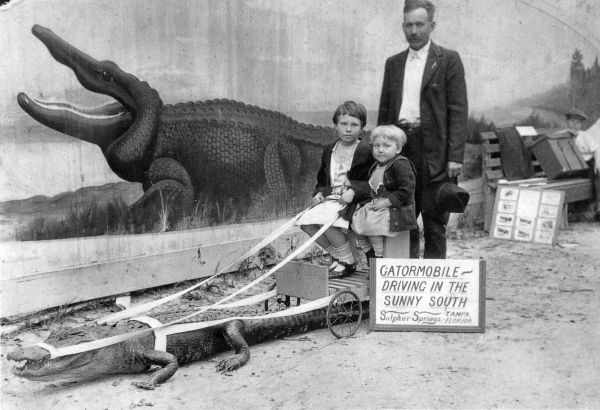 Gatormobile - Driving in the sunny south..