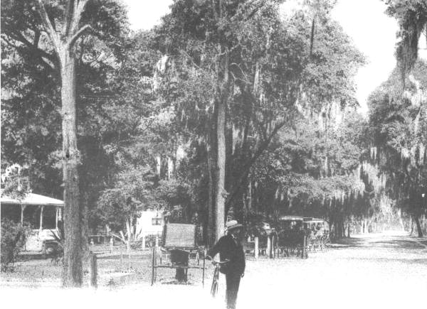 Ridgewood Avenue - Daytona Beach, Fla.