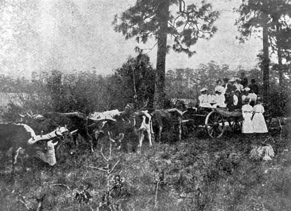 People being given an ox cart ride - DeFuniak Springs, Florida