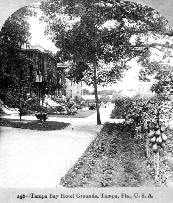 Grounds in front of the Tampa Bay Hotel - Tampa, Florida.