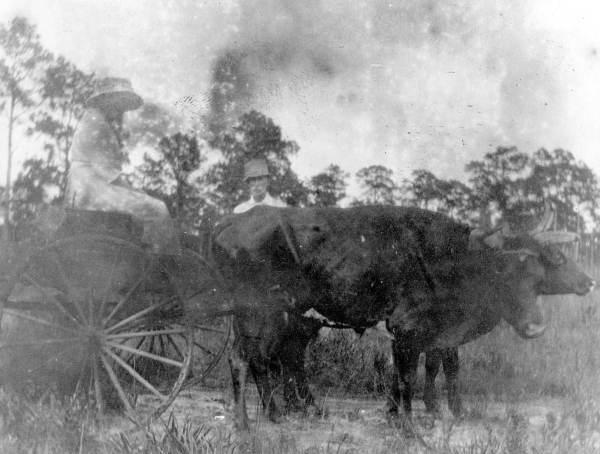 Mr. and Mrs. Wesley C. Richards and their ox-drawn wagon
