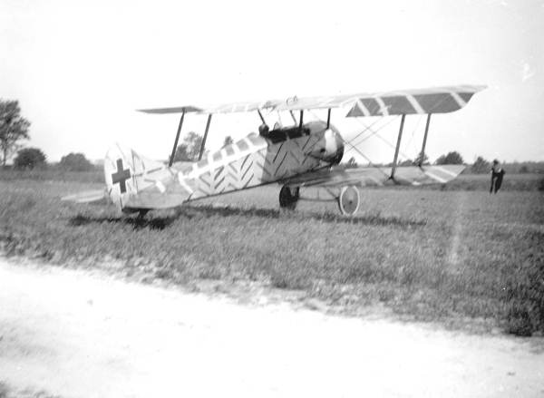 Biplane on the College Arms Hotel golf course - De Land, Florida
