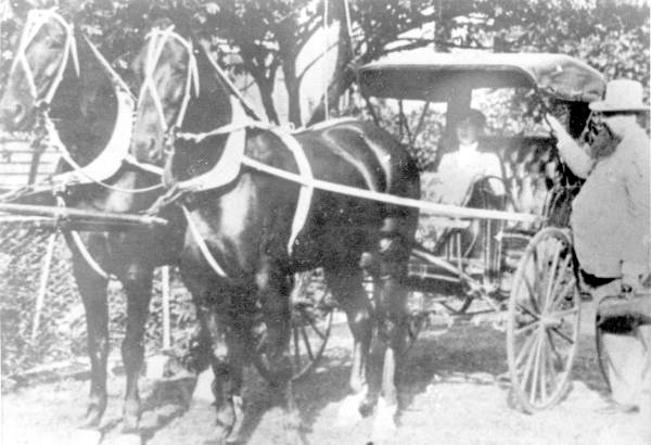 Doctor Hiram Hampton and his wife Emma in the buggy - Tampa, Florida.