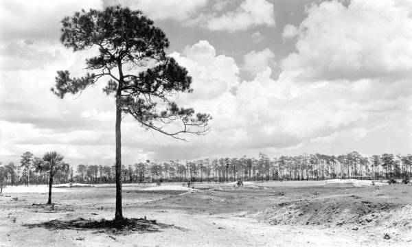 Construction of golf course - Coral Gables, Florida