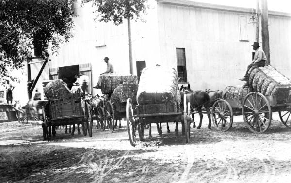Baled cotton at gin - Monticello, Florida
