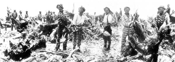 Convicts at work on a privately owned farm