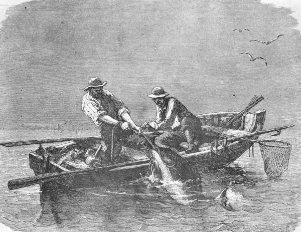 Fishing in Tampa Bay on the Gulf Coast