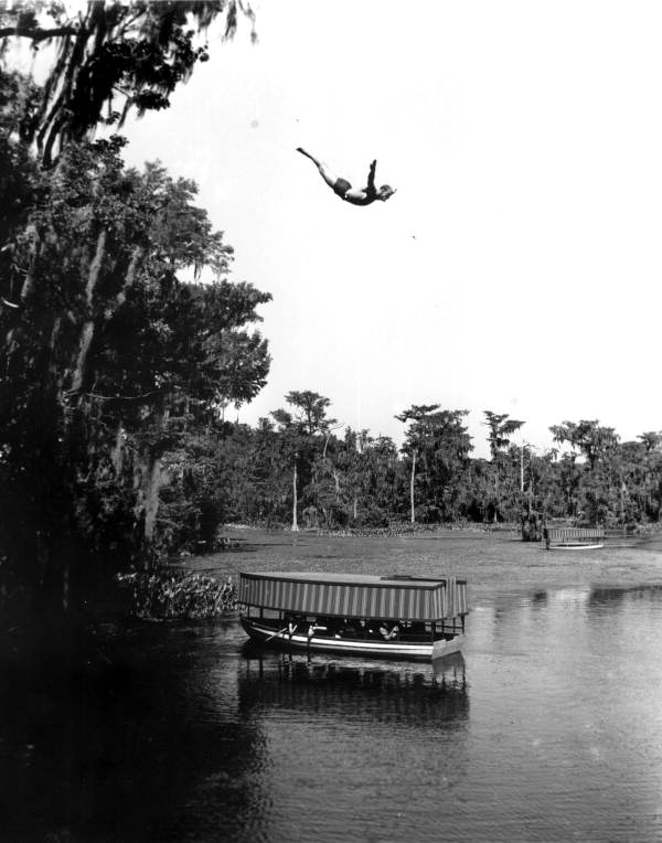 Shorty Wharton executing a swan dive - Wakulla Springs, Florida