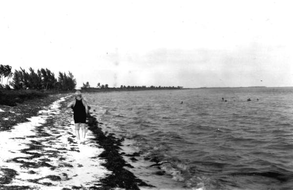 View of the beach - Long Key, Florida