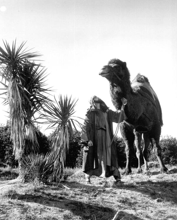 Black Hills Passion Play - Lake Wales, Florida