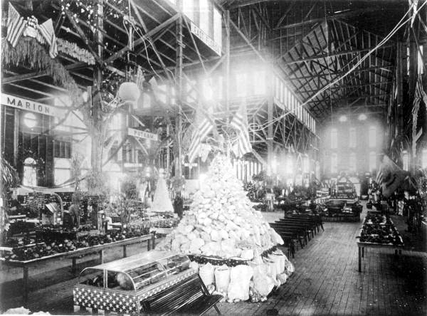 Semi-Tropical exposition - Ocala, Florida.