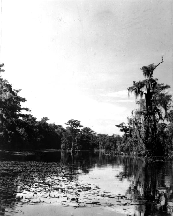 View of the river at Wakulla Springs