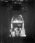 Newt Perry fishing from an underwater air trap - Wakulla Springs, Florida.