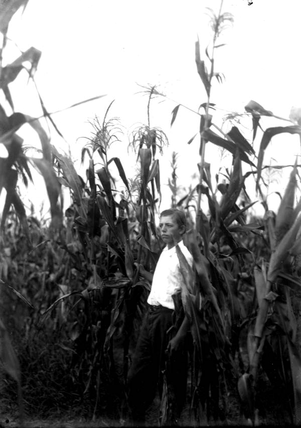 Corn Club contestant standing in field