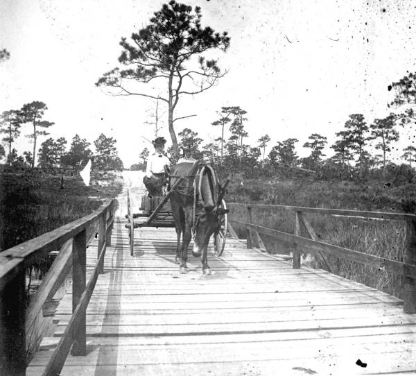 Woman aboard horse-drawn cart on Watson Bayou bridge - Bay County, Florida