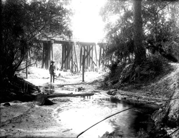 Man in stream near railroad bridge- Duval County, Florida