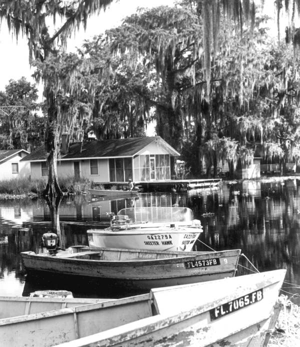 Motorboats tied to the shore along Cross Creek - Cross Creek, Florida