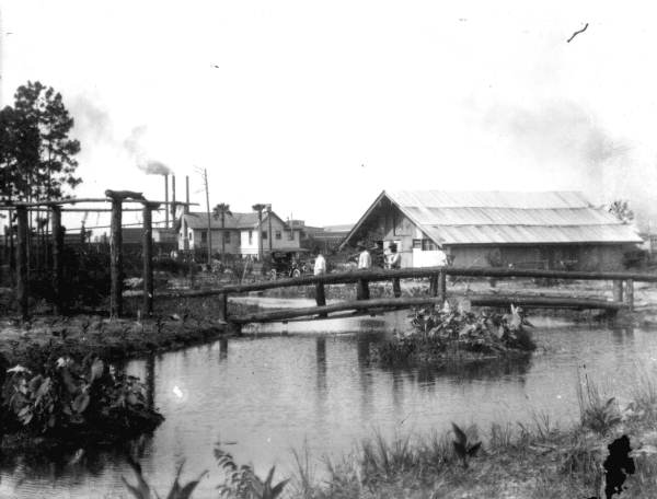 Three men with axes on footbridge - Duval County, Florida