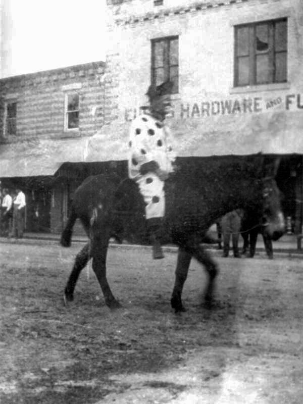 Clown riding a mule in Washington's Birthday parade - Eustis, Florida