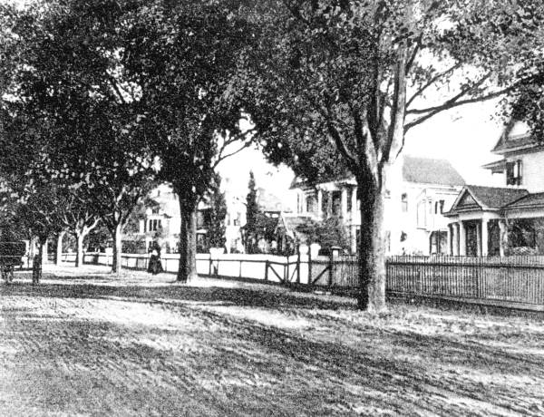 Home lined Alachua Avenue - Gainesville, Florida.