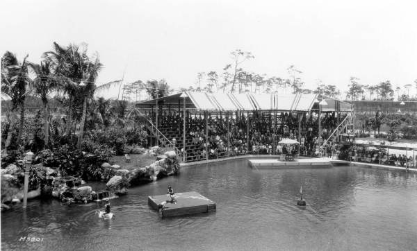 View of the Venetian Pool from a diving tower - Coral Gables, Florida