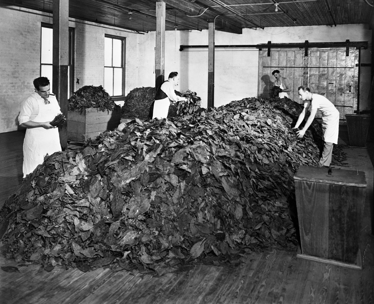 Interior view of a cigar factory during a blending operation - Tampa, Florida.