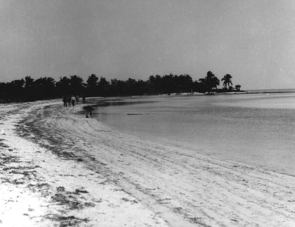 Looking along the beach - Lower Matecumbe Key, Florida