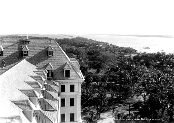 Looking over the treetops from hotel - Lake Worth, Florida