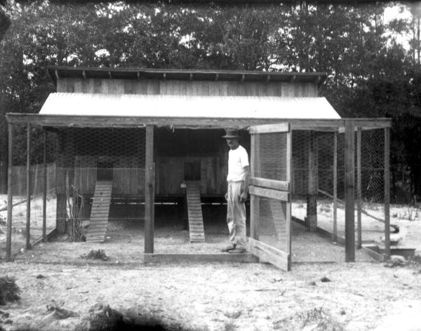 Hen house on a farm - Green Cove Springs, Florida