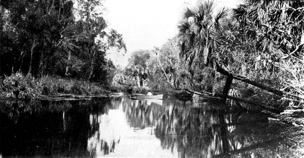 Boating at Silver Springs - Ocala, Florida