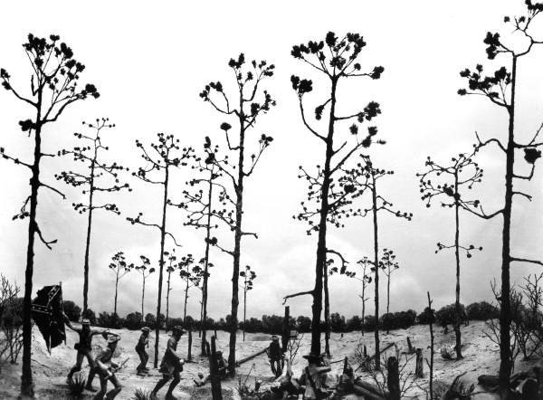 Diorama of the battle in the Olustee Battlefield museum - Olustee, Florida