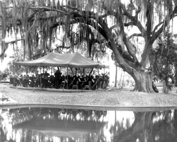 Florida Symphony performs under an oak at Tomoka State Park - Ormond Beach, Florida.