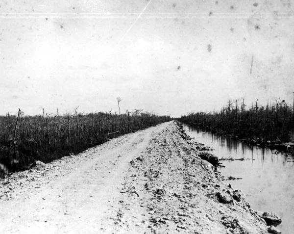 View down the road along canal - Tamiami Trail, Florida