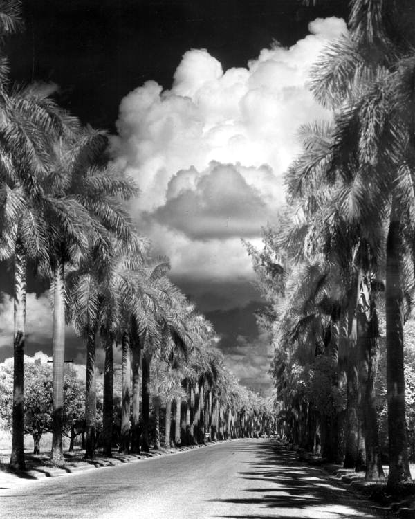 Clouds above McGregor Boulevard in Fort Myers.