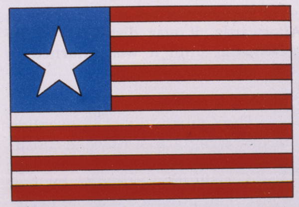 The 1861 Lone Star Flag