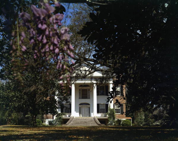 The Grove at 100 E. First Ave. on the corner of N. Adams in Tallahassee, Florida.