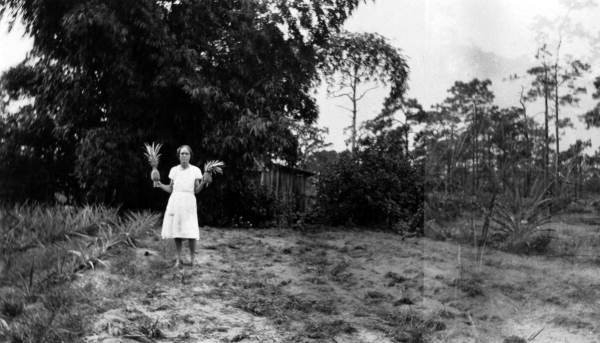 Woman showing Florida grown pineapples.