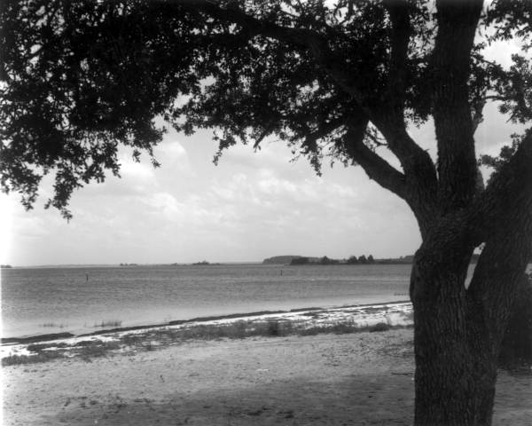 View of Shell Point Beach - Wakulla County