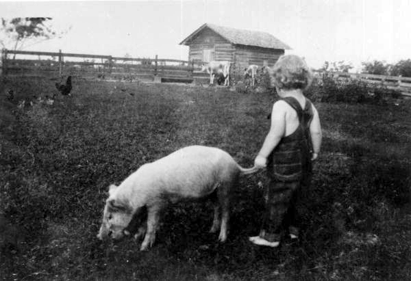 Unidentified child with pig