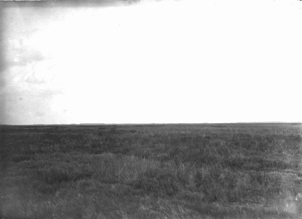 Prairies with hammocks in the distance