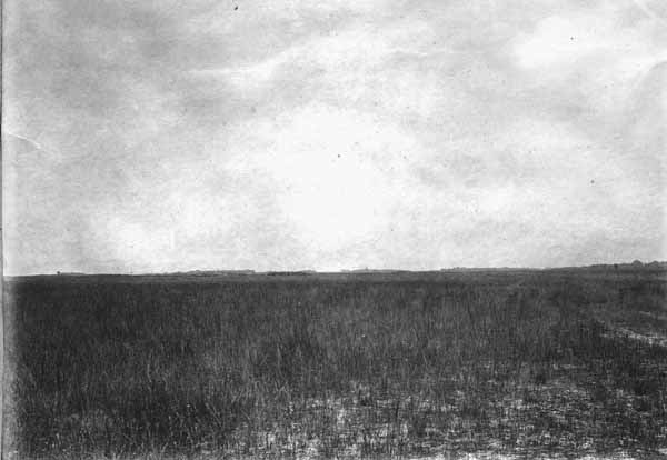 Indian Prairie